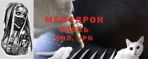 индика Арсеньев