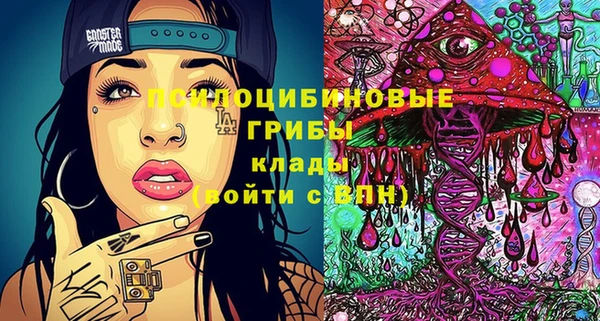 индика Арсеньев