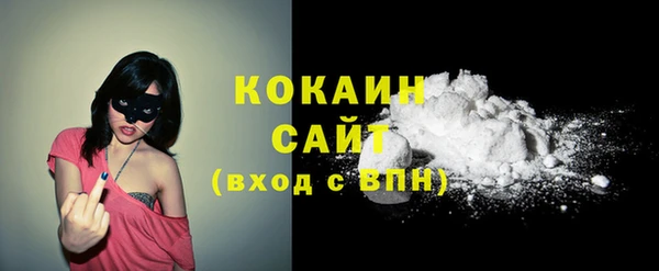 индика Арсеньев
