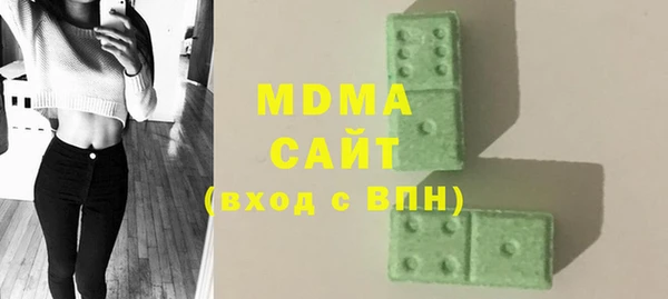 индика Арсеньев