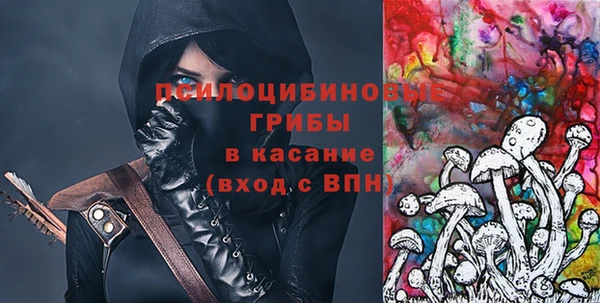 индика Арсеньев