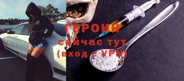 индика Арсеньев