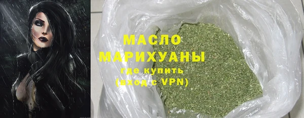 индика Арсеньев