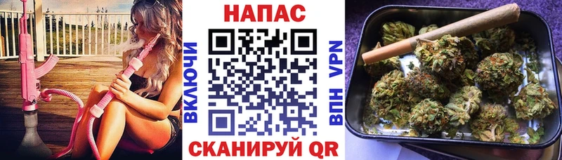купить наркоту  Темрюк  ОМГ ОМГ   Конопля SATIVA & INDICA 